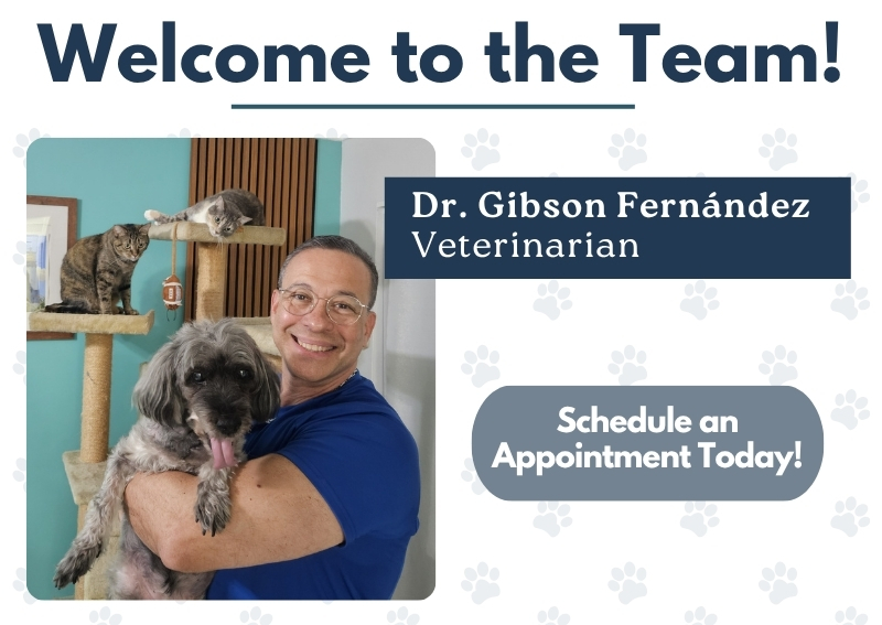 Carousel Slide 2: Welcome Dr. Fernández