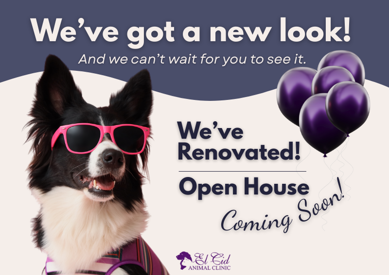 Carousel Slide 1: Learn More >>