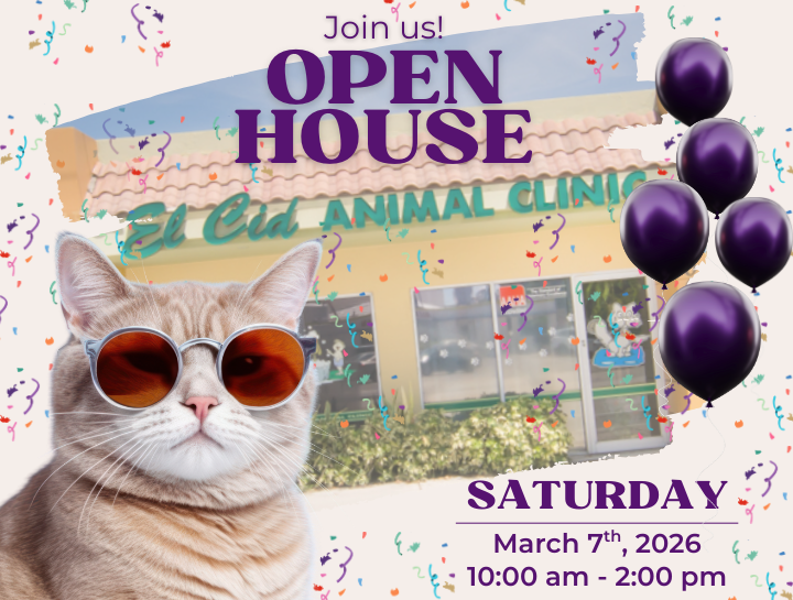 Join Us for the El Cid Animal Clinic Open House on March 7th!