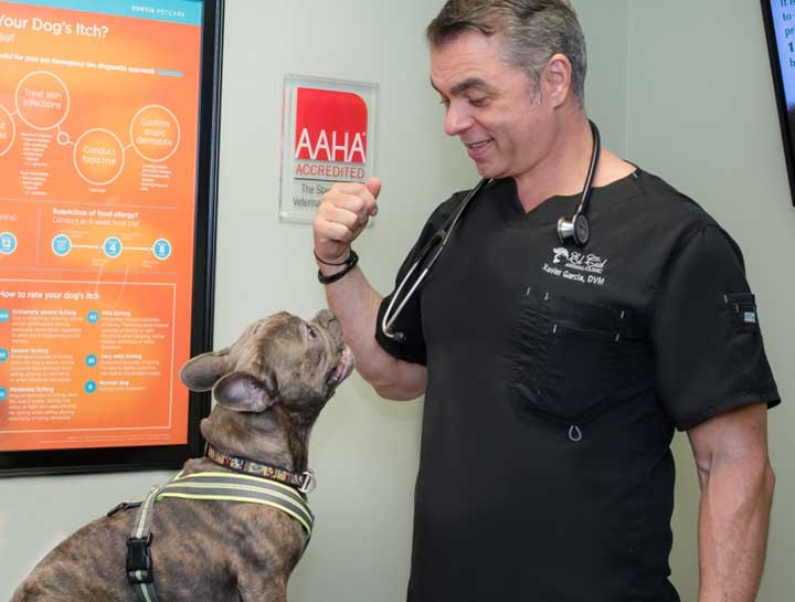 Pet Behaviorists in West Palm Beach